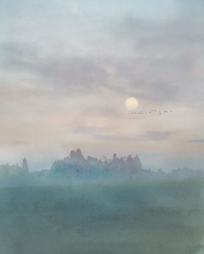 IF2-006 - Image 2
