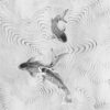 IF2-012 - Image 2