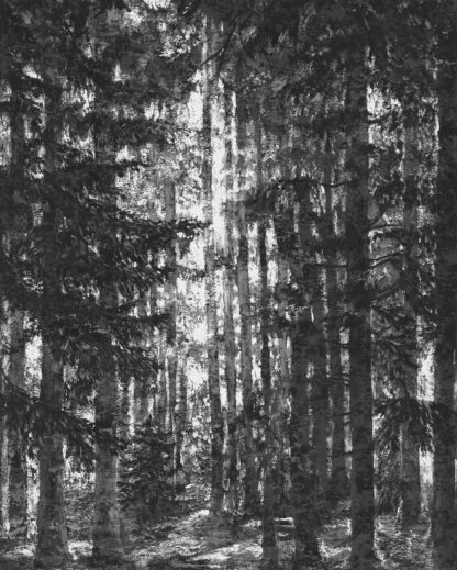IF2-014 - Image 2