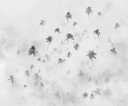 IF3-033 - Image 2