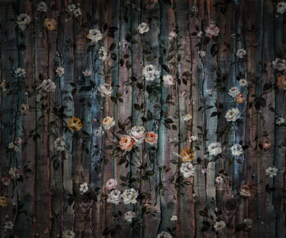IF3-035 - Image 2