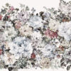 IF3-043 - Image 2
