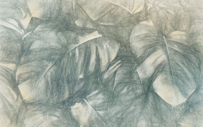 IF4-055 - Image 2