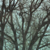 IF4-061 - Image 2