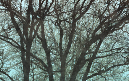 IF4-061 - Image 2