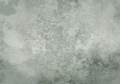 IF4-085 - Image 2