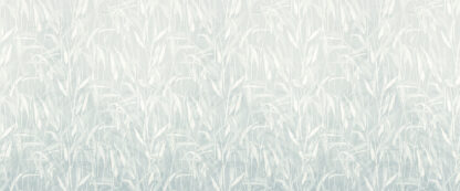 IF2-022 - Image 3