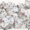 IF3-043 - Image 3