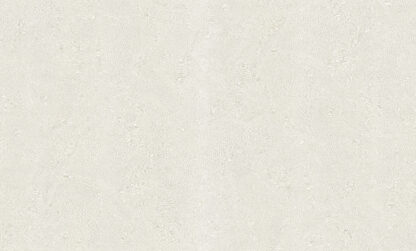29007