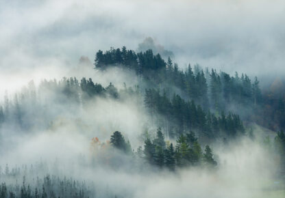 14552 - Image 2