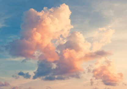 14570 - Image 2