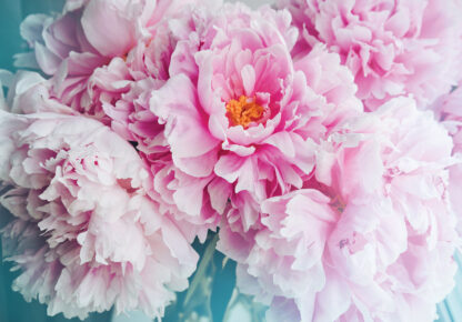 14586 - Image 2