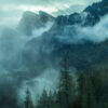 14587 - Image 2