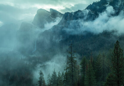 14587 - Image 2