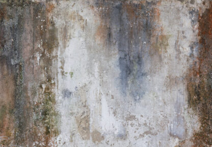 14589 - Image 2