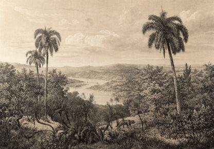 14593 - Image 2