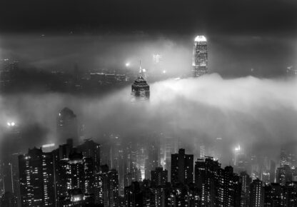 14612 - Image 2