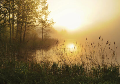 14613 - Image 2