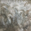 14617 - Image 2