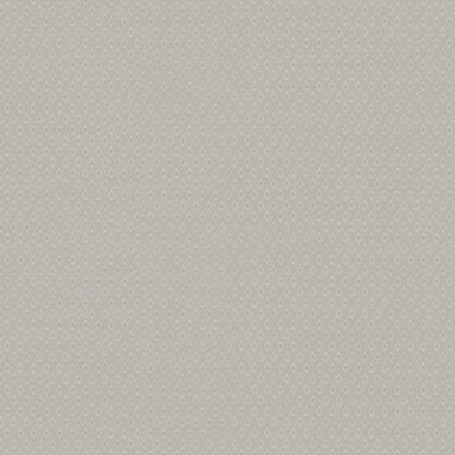 21736