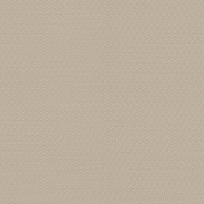 21737