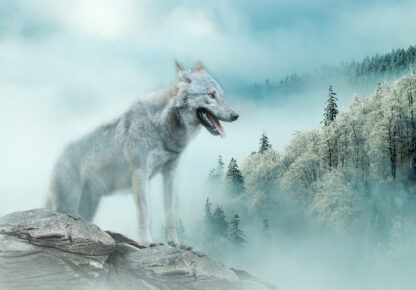 14684 - Image 2
