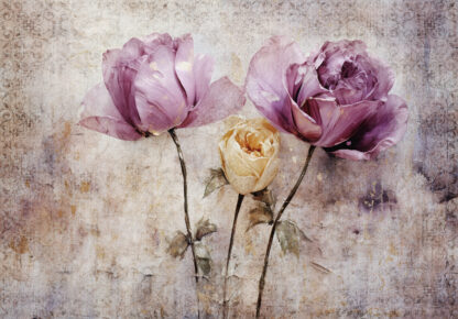 14876 - Image 2