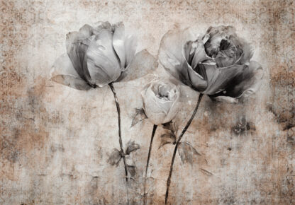 14877 - Image 3