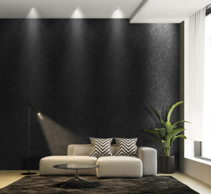 12812 - Image 2