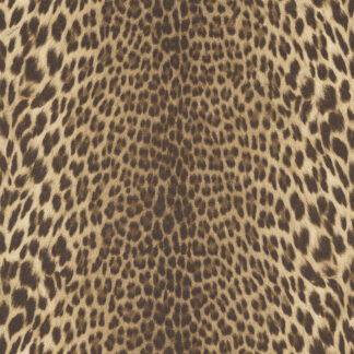 21041