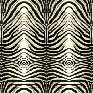 19216
