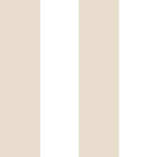 15562