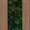 398521 - Image 2