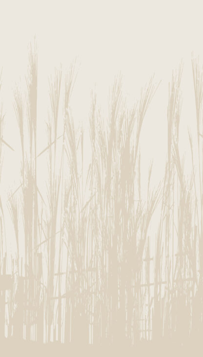 398781 - Image 2