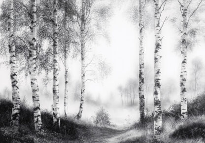 15513 - Image 2