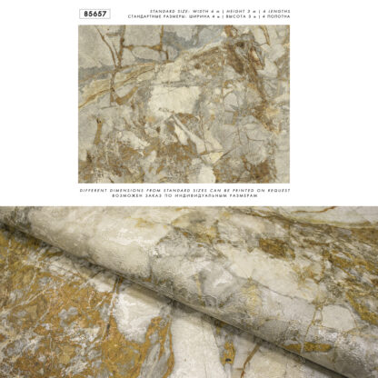 85657 - Image 3