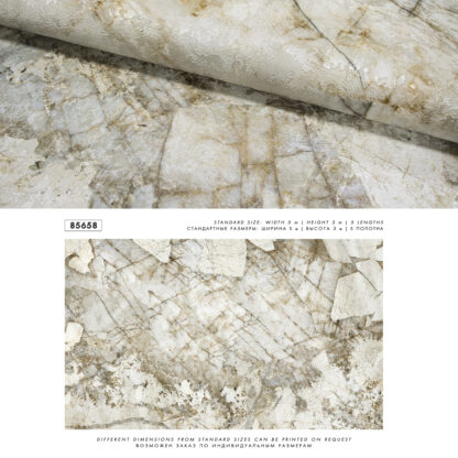 85658 - Image 3