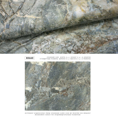 85660 - Image 3