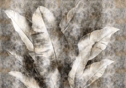 15544 - Image 2