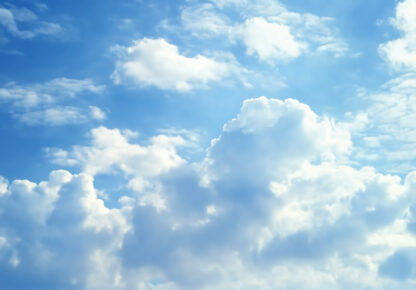 15576 - Image 2