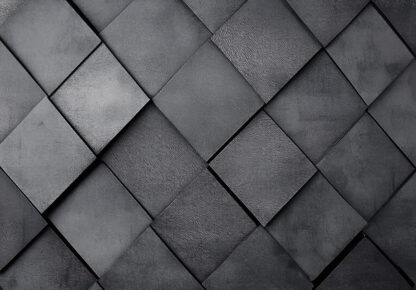 15580 - Image 2
