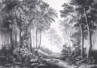 15615 - Image 2