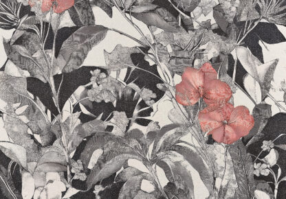 15620 - Image 2