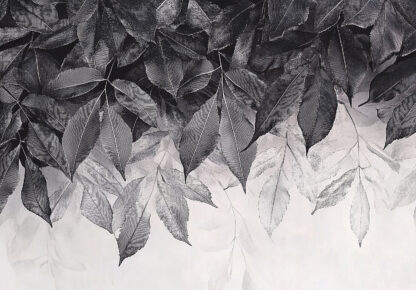 15625 - Image 2