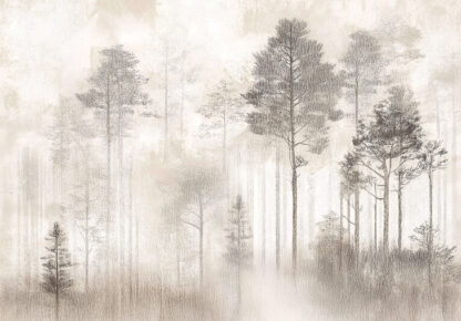 15667 - Image 2