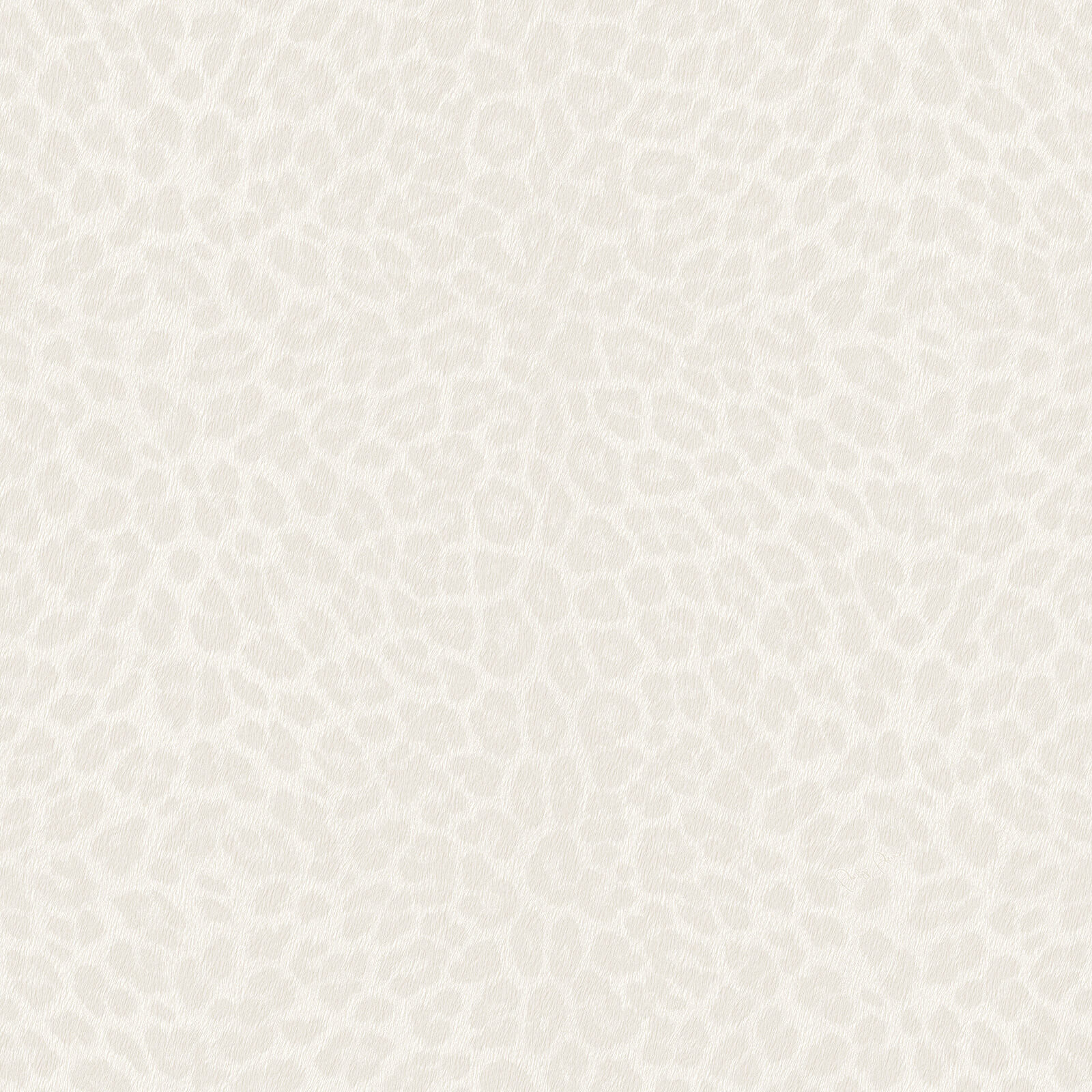 81030