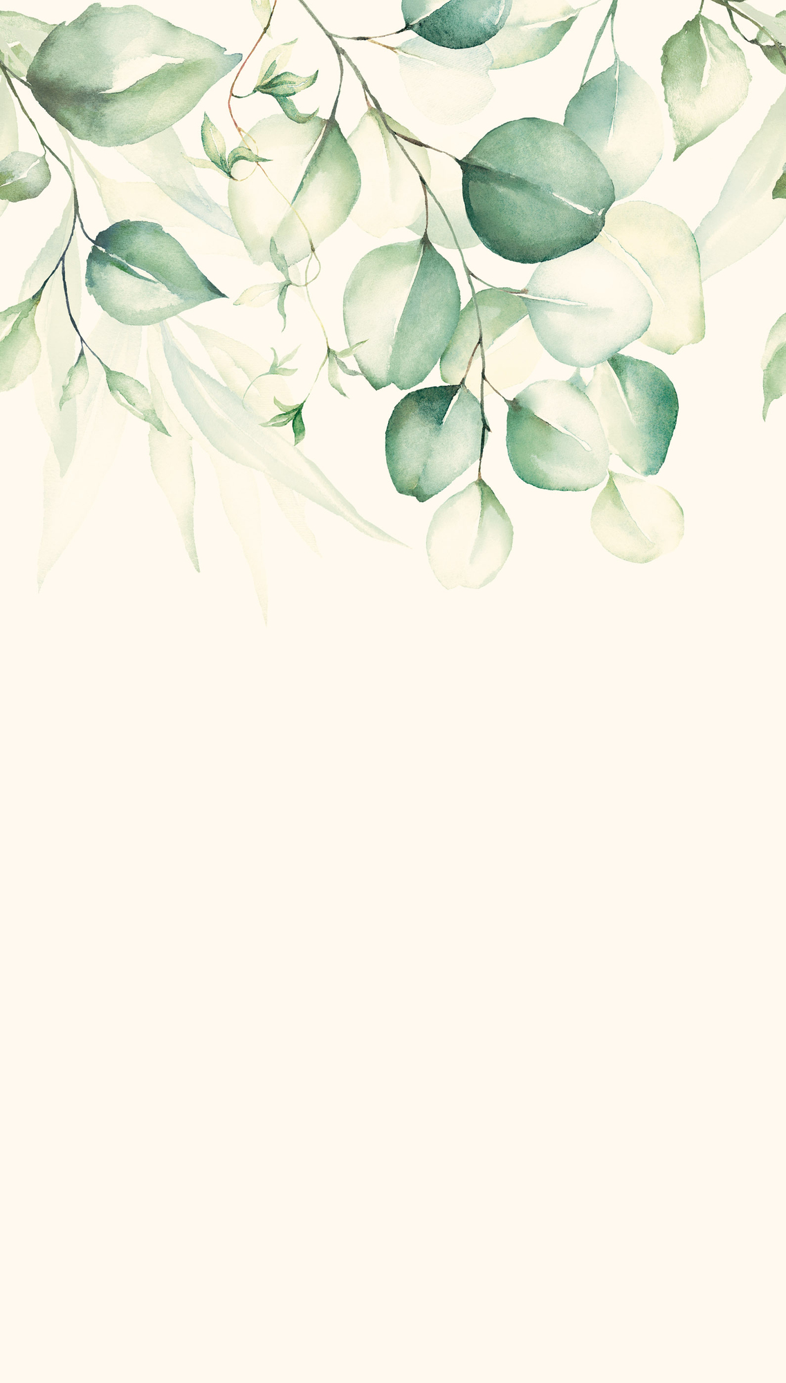 394681 - Image 3
