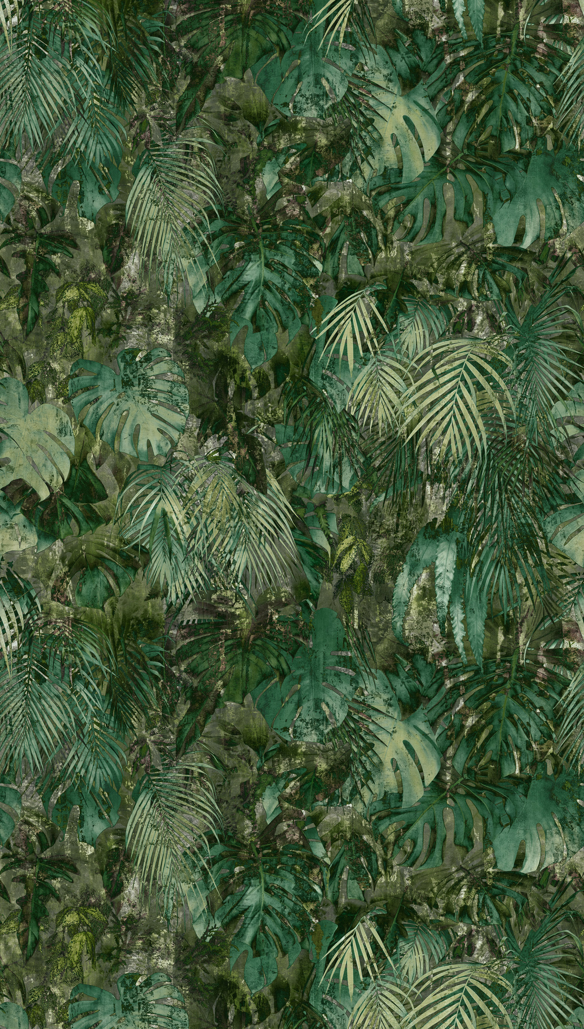 792234 - Image 3