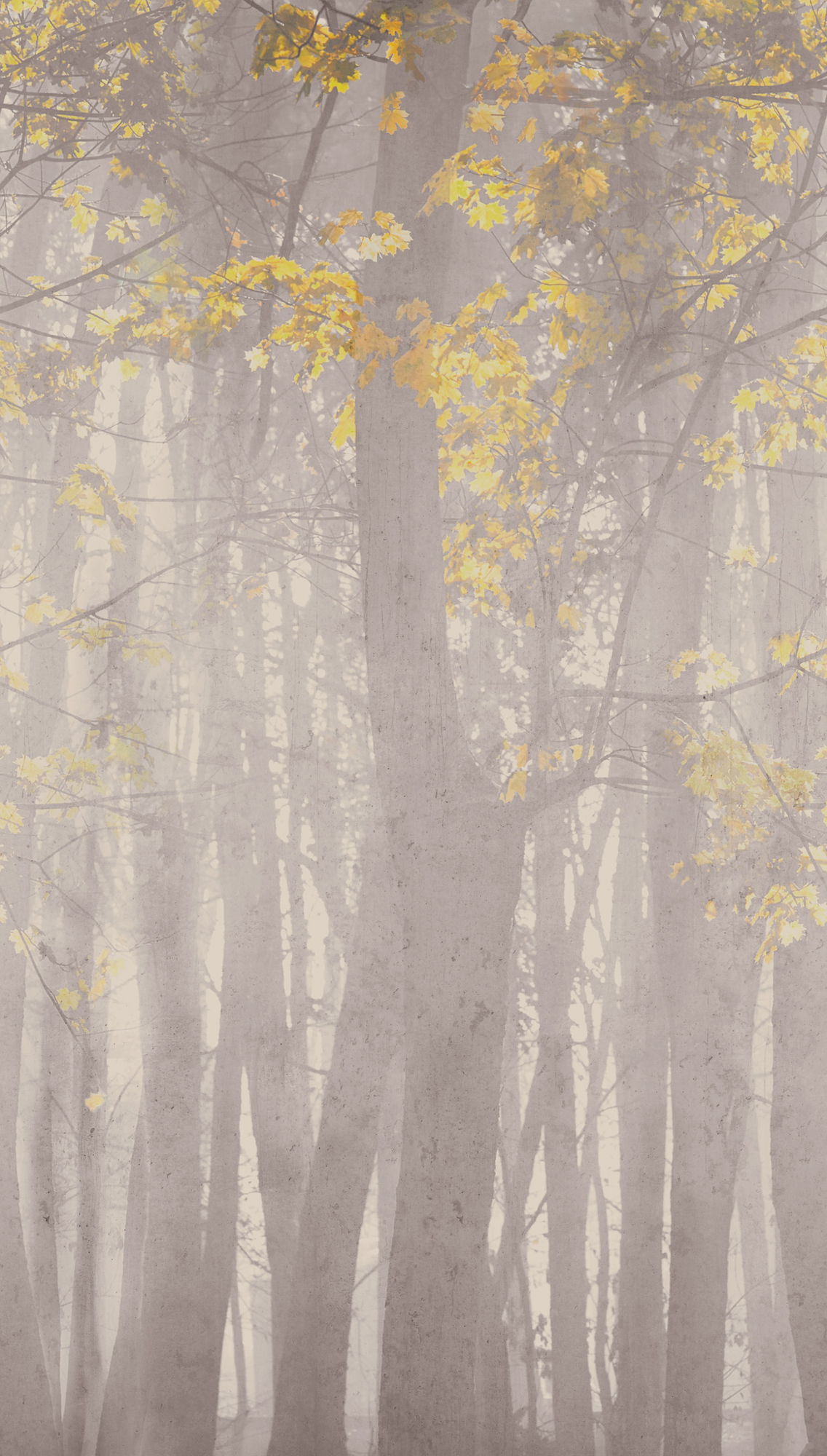 792262 - Image 3
