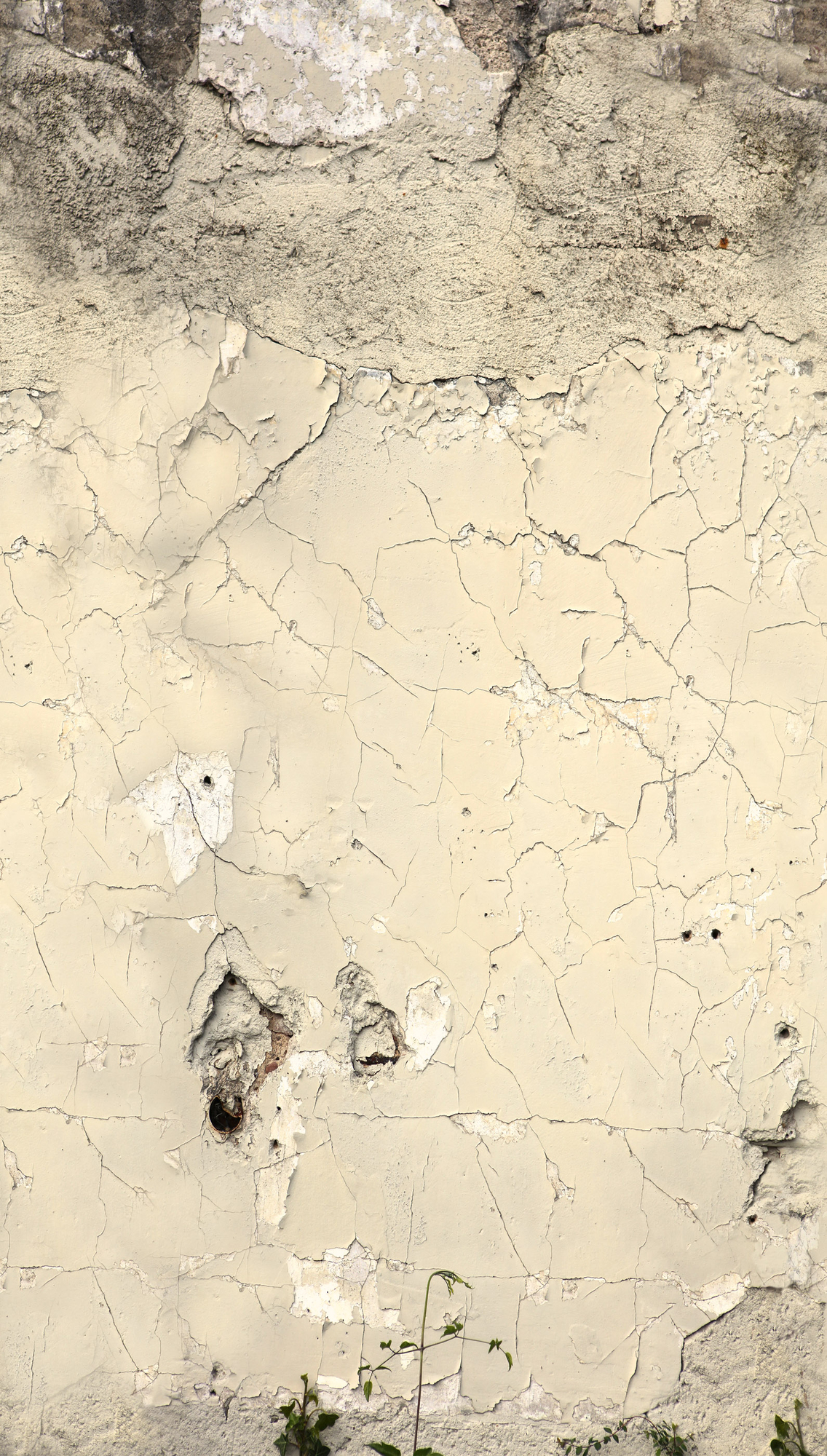 792266 - Image 3